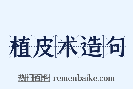植皮术造句是什么意思的图片
